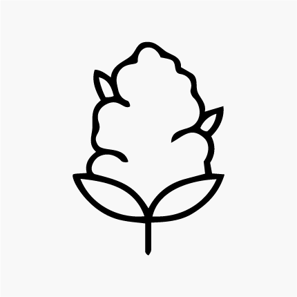 Imagem da CBC Flores