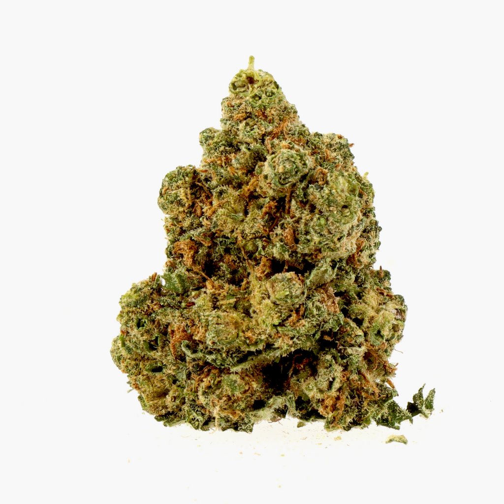 Fleur CBC Amnesia 3.0