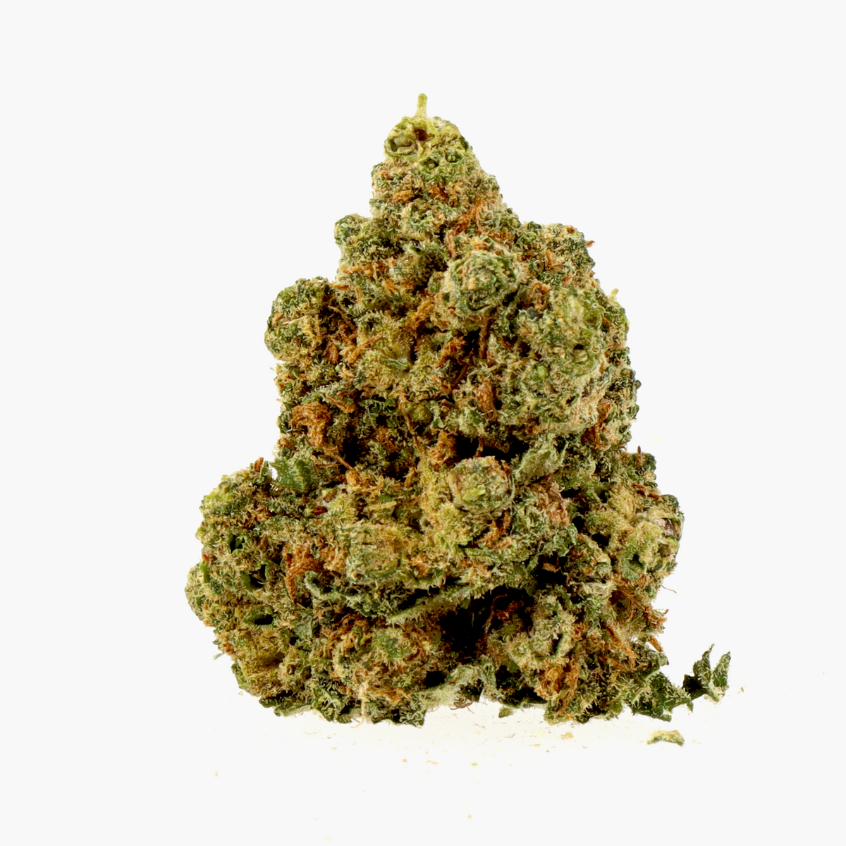 Fleur CBC Amnesia 3.0
