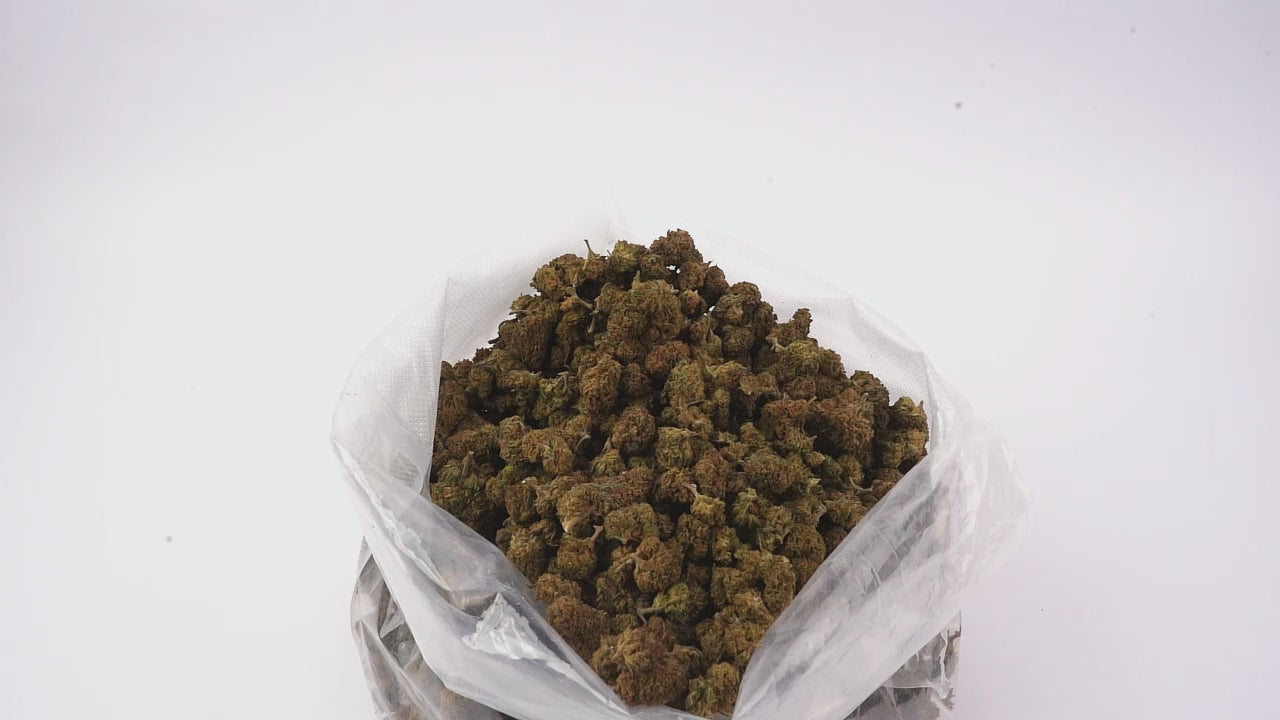Vidéo