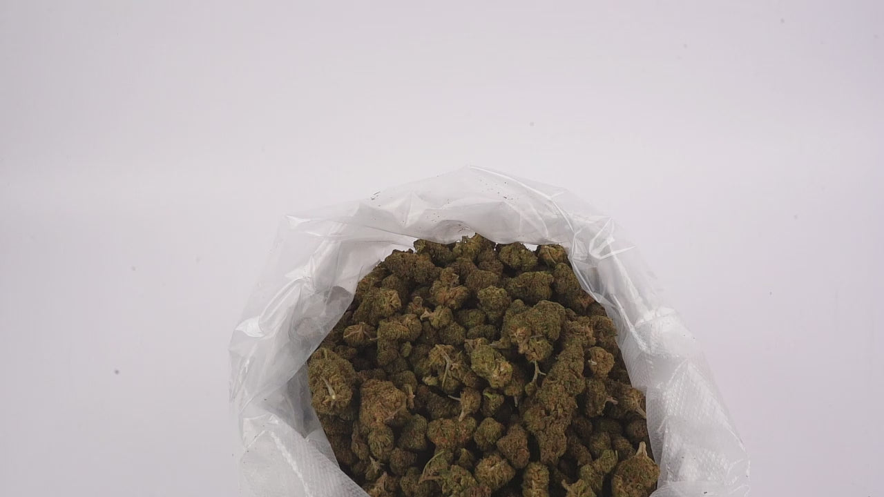 Vidéo