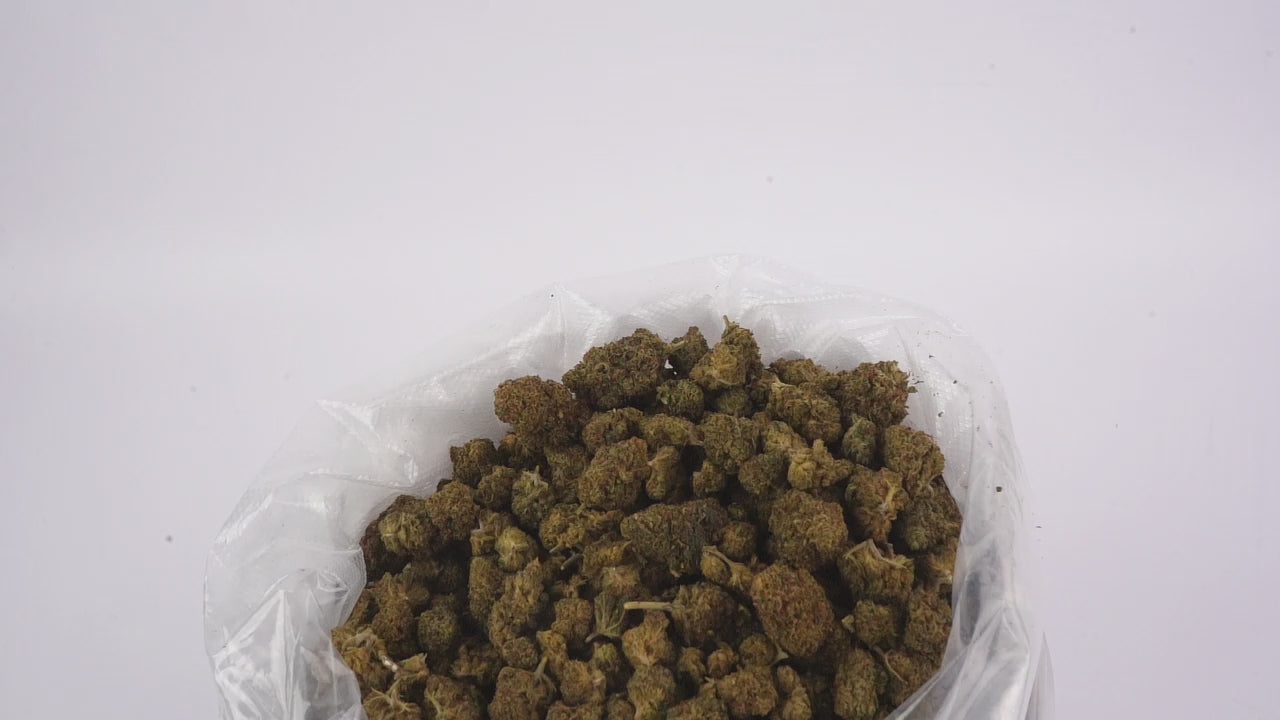 Vidéo